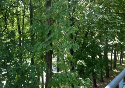 mieszkanie na wynajem - Warszawa, Ochota, Bohaterów Września