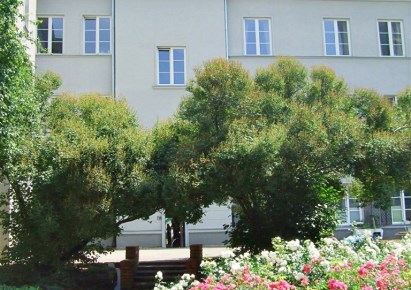mieszkanie na wynajem - Warszawa, Śródmieście, Muranów, Długa