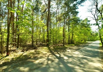 działka na sprzedaż - Warszawa, Wawer, Radość