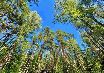 działka na sprzedaż - Wilga, Skurcza, Osiedle Wilga