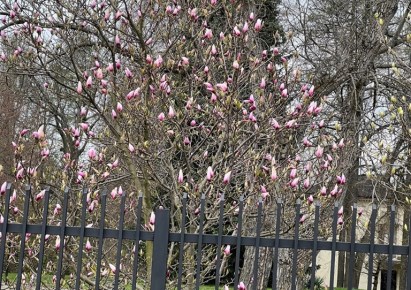 działka na sprzedaż - Warszawa, Bielany, Grębałowska